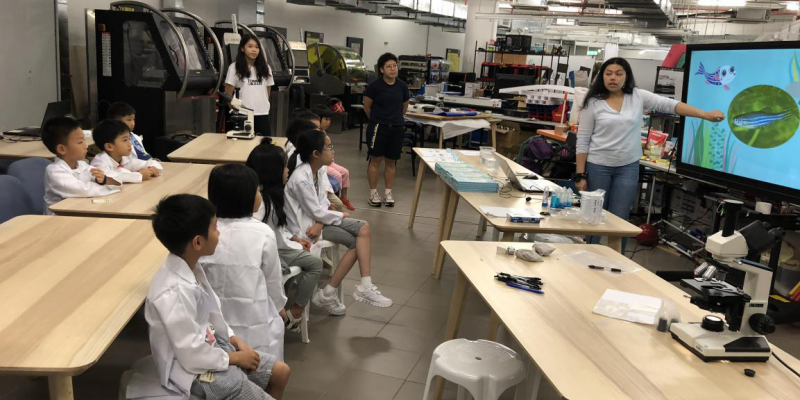 Standard Post with Image