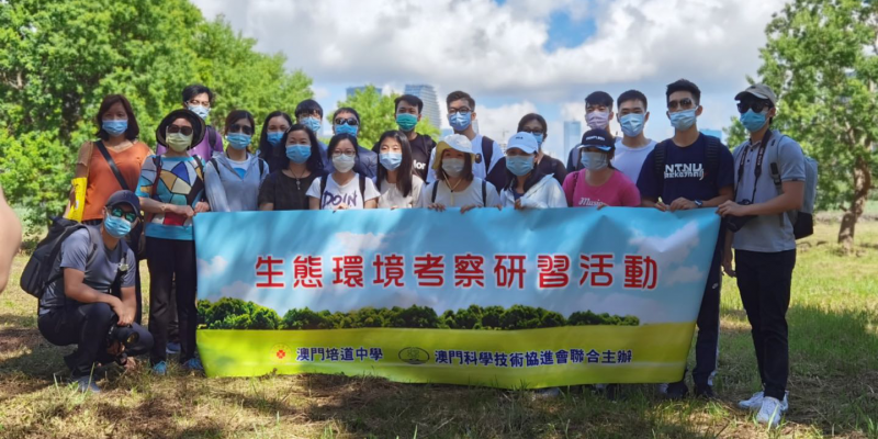 Standard Post with Image