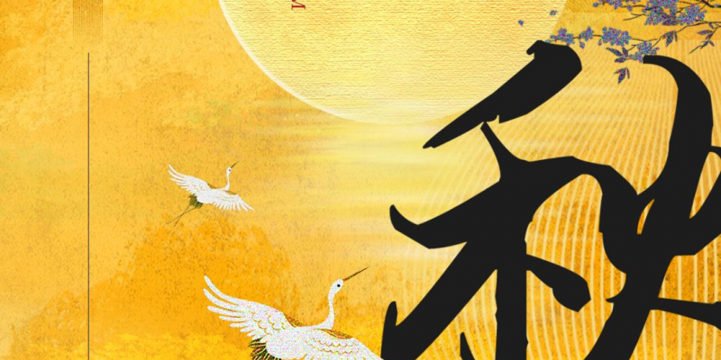 Standard Post with Image